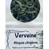 verveine "les secrets de Bernadette"