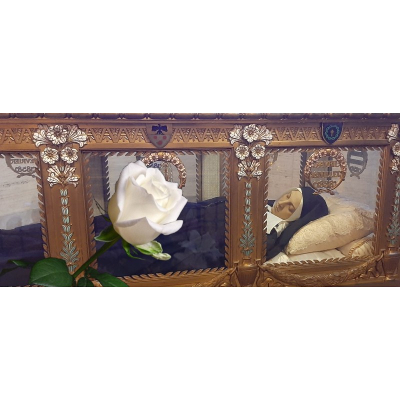 Le 19 février, offrez une rose à Sainte Bernadette !