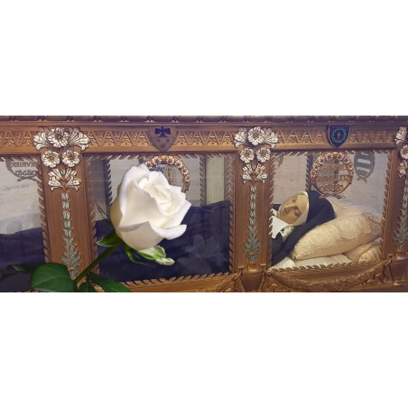 Le 19 février, offrez une rose à Sainte Bernadette !